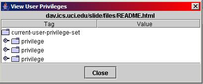 View User Privileges Dialog